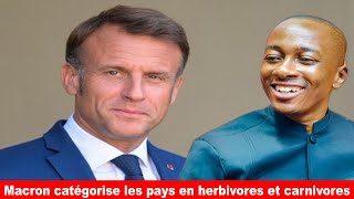 Issa Diawara  Macron quotle monde est fait dherbivores et de carnivoresquot [upl. by Elinor]