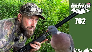 Fieldsports Britain – Pigeon shooting on the quiet [upl. by Ranique]