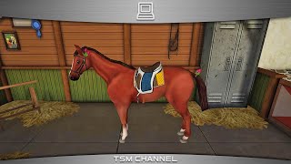 HorseWorld Show Jumping  Android Gameplay HD [upl. by Eenafit]