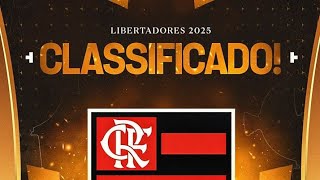 Flamengo classificado para libertadores 2025 [upl. by Marielle43]