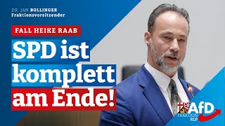 SPD ist komplett am Ende Dr Jan Bollinger [upl. by Adda]