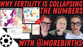 Why Fertility is Collapsing Shocking Stats with MoreBirths [upl. by Sheppard]