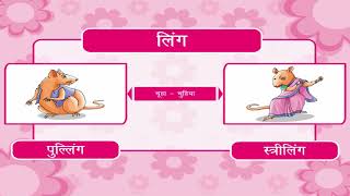 Gender लिंग  Kriti Educational Videos [upl. by Nnaeirrac100]