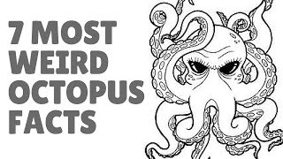 Octopus Facts  Interesting Facts About Octopuses [upl. by Ettenil]