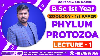 Lt01 Phylum  Protozoa Part1  BSc1st Year Zoology [upl. by Xerxes109]