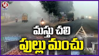 Weather Alert  Enveloped in Thick Fog Amidst Cold Wave In Telangana  V6 News [upl. by Lessur]