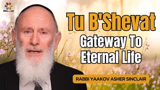 Tu BShevat The Celebration of Eternal Life  Rabbi Yaakov Asher Sinclair [upl. by Navinod996]