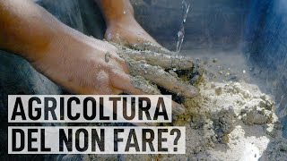 AGRICOLTURA NATURALE coltivare con il metodo Fukuoka [upl. by Aicnelav]