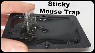 Why Are These The Most Popular Mouse Traps On Amazon This seems like a scam Mousetrap Monday [upl. by Desdee]