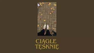 Ciągle tęsknię [upl. by Eimrej]