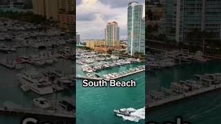 Best Places Restaurants and Hotels in Miami youtubeshorts ytshortsvideo miami usa [upl. by Atnek]