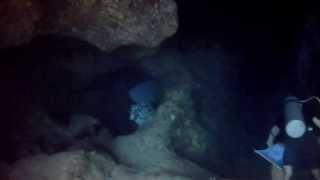 Chankanaab Cave Dive Cozumel [upl. by Atela]