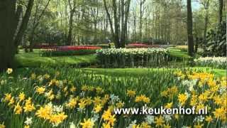 Keukenhof 2012 Now open  Nu open [upl. by Duwe]