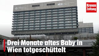 Drei Monate altes Baby in Wien totgeschüttelt  kronetv NEWS [upl. by Gladi250]