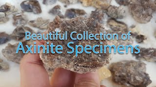 Axinite Mineral Specimens Collection  Axinite Fe Crystals [upl. by Nuahsyar]