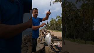 Beach fishing fishing beachfishing fishingvideo fish malayalam [upl. by Yolanthe698]