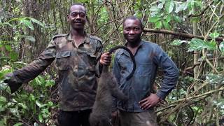 Histoire dune chasse  Cameroun [upl. by Suoinuj]