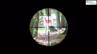 Minox ZV 39x50 reticle BDC subtensions [upl. by Ayekehs]