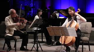 Mendelssohn Piano Trio in d minor 3rd mvmt [upl. by Anairt]