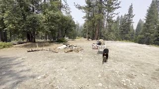 California Sierra National Forest dispersed camping failed  Dinkey Creek [upl. by Wilder]