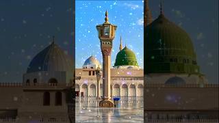 Islamic contact foryou youtubeshorts islamiccontent [upl. by Eceinehs]