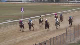 Bundaberg 20240727 Race 6 [upl. by Smaj702]