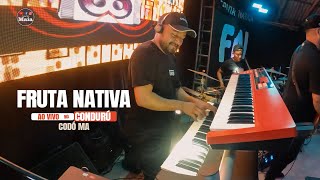 FRUTA NATIVA codó AO VIVO NO POVOADO CONDURÚ [upl. by Naols]