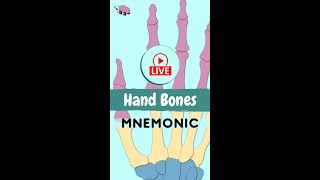 Easiest Hand Bones Mnemonic Anatomy [upl. by Nnahsal]