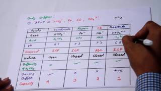 Biochemistry  Biomolecules Review with mnemonics [upl. by Funch]