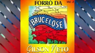 BRUCELOSE  Doce pecado com letra [upl. by Lon]