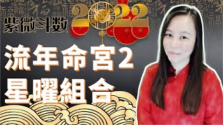 紫微斗數2022 流年命宮2 「星曜組合」Zi Wei Dou Shu is a branch of Chinese Astrology [upl. by Anaud521]