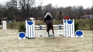 REITTURNIER in HERFORD 2013  LATY ENTRY  DONNERSTAG  VIDEO 2 [upl. by Markowitz]