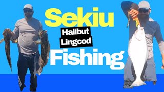 Sekiu Halibut and Lingcod fishing New Species Arrowtooth Flounder [upl. by Halstead]