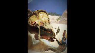 Protoceratops v Velociraptor dinosaur biology raptor ark jurassicpark animals paleontology [upl. by Savihc]