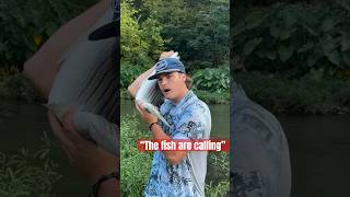 The Fish are Calling riverfishing fishing bassfishing [upl. by Benjy471]