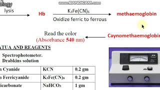 Haematology Hb Drabkin method Lec2 Part 1 [upl. by Marabel]