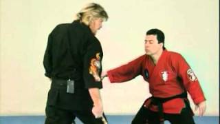 Kenpo techniques [upl. by Adrahc]