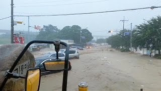 Floods in Busan South Korea [upl. by Hgielrahc]