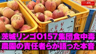 茨城リンゴ O157 集団食中毒 農園 の 責任者 らが 語った 本音 NEWSポストセブン [upl. by Darraj982]