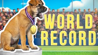 7wo Puppy Shatters World Record [upl. by Mapel]