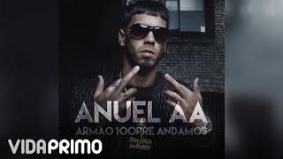 Anuel AA  Mi Vida Official Audio [upl. by Rugen751]