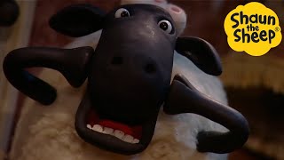 Shaun the Sheep 🐑 The Scream  Cartoons for Kids 🐑 Full Episodes Compilation 1 hour [upl. by Schroder]