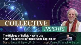 The Biology of Belief How to Use Your Thoughts to Influence Gene Expression  Dr Bruce Lipton [upl. by Kacy9]