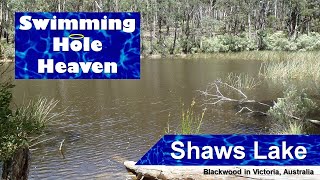 Swimming in Shaws Lake in the Lerderderg State Park Victoria [upl. by Aluino]