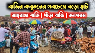 বাজির কবুতর ০১১০২০২৪ quotবেলডাঙা হাটেরquot কালেকশান  Beldanga Hat Murshidabad  Beldanga Pigeon Market [upl. by Adnarym]