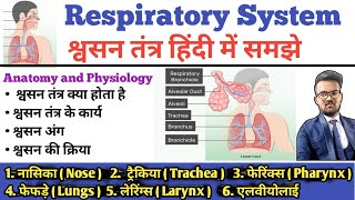 Respiratory System श्वसन तंत्र  Respiratory Tract  Lungs  Bronchi  Trachea  Alveoli  Larynx [upl. by Ocinemod301]