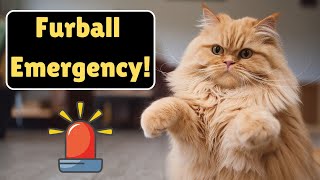 Are Cat Hairballs Dangerous MUST WATCH [upl. by Aiym]