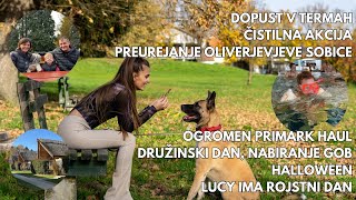 Terme preurejanje Oliverjeve sobice amp Lucy ima rojstni dan l Kaja Karba [upl. by Nomelif]