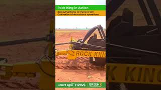 Removing Rocks to Improve Soil Cultivation amp Plant Growth  RockKing in Action  GreenX Sandal Farm [upl. by Festa]