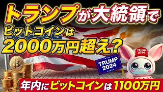 年内バブルくるぞ！！！ トランプ当選で大勝利！ １BTCが2000万円の仮想通貨バブル突入 [upl. by Nnawtna]